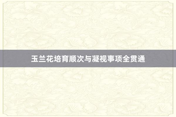 玉兰花培育顺次与凝视事项全贯通